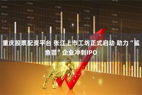 重庆股票配资平台 张江上市工坊正式启动 助力“鲨鱼苗”企业冲刺IPO